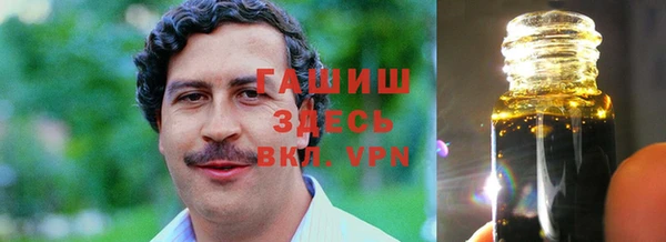индика Новокубанск