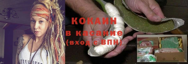эйфоретик Няндома