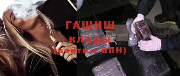 эйфоретик Няндома