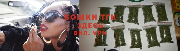 эйфоретик Няндома