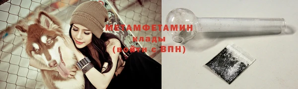 индика Новокубанск