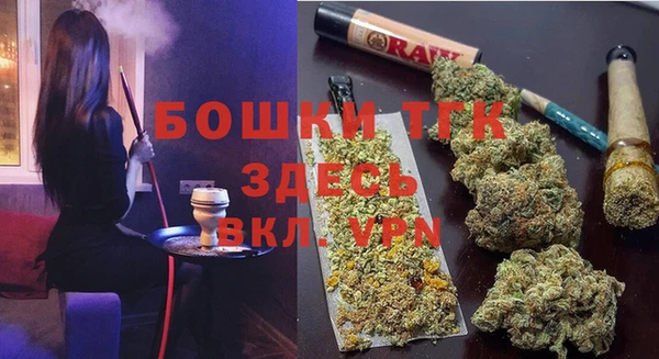 спиды Новозыбков