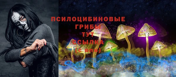 гидропоника Новодвинск