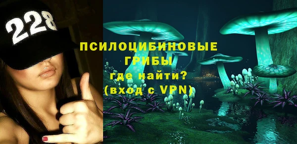индика Новокубанск