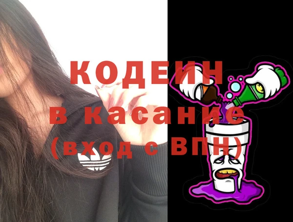 эйфоретик Няндома