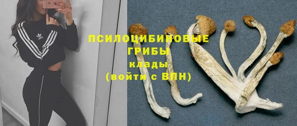 эйфоретик Няндома